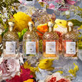 Aqua Allegoria - Mandarine Basilic Sada Eau de Toilette 125 ml + miniatura 7,5 ml + telov&eacute; ml&eacute;ko 75 ml