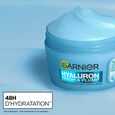 Skinactive Hyaluronic Garnier