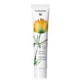 Cr&egrave;me Mains 75 ml - &Eacute;dition Limit&eacute;e Dr.Hauschka