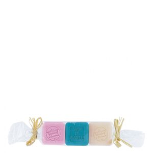 Mono&iuml; Magnolia Amande