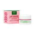 Grenade & Goyave Mario Badescu