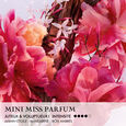 Miss Dior Parfum Mini Miss Parfum Solide Parfum en stick sans alcool 20 g