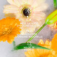 Vanille Soleil Roger&Gallet