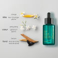 Ultimate Reset Shu Uemura