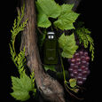 Cypress & Grapevine Everywhere & More Geschenkset Cypress Grapevine Cologne Intense 100 ml + Zerst&auml;uber 2 x 10 ml