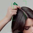 Triphasic Reactional Ren&eacute; Furterer