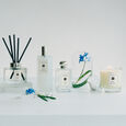 Wild Buebell Jo Malone London