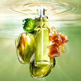 Pistachio Praline Mugler