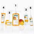Mangue Klorane