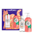Fleur de Figuier Gaves&aelig;t med velg&oslash;rende parfumeret vand 100 ml + velg&oslash;rende kropslotion 250 ml