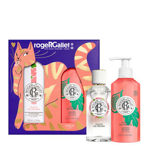 Fleur de Figuier Sada s vonavou vodou s blahod&aacute;rn&yacute;mi &uacute;cinky 100 ml + telov&eacute; ml&eacute;ko s blahod&aacute;rn&yacute;mi &uacute;cinky 250 ml