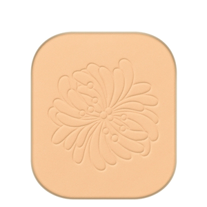 Fond de Teint Poudre