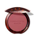 Terracotta Blush Guerlain