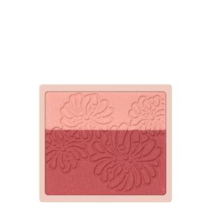 Blush Poudre Préssée