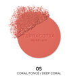 Terracotta Blush healthy-glow blush 90% ingredients of natural origin