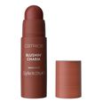 Blushin' Charm Multi Stick Catrice