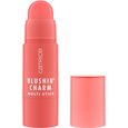 Blushin' Charm Multi Stick Catrice