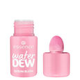 Water Dew Serum Blush Essence