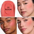 Dior Forever Blush Soft Filter Dior