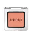 Art Couleurs Eyeshadow Catrice