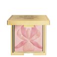 L'Orchidee Sisley