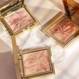 L'Orchidee Sisley