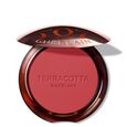 Terracotta Blush Guerlain
