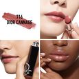 Dior Addict Dior