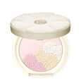 Recharge Silky Compact Powder