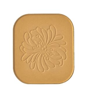 Fond de Teint Poudre