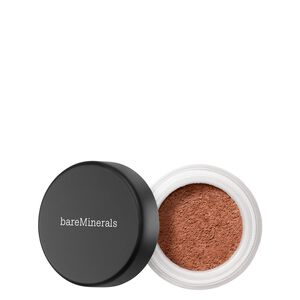All Over Face Color Loose Bronzer