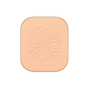 Fond de Teint Poudre