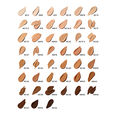 Studio Radiance Mini langhoudende lichtgevende concealer