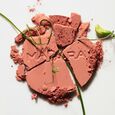 Magnetic Blush Madara