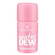 Water Dew Serum Blush Essence