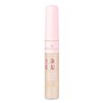 Silky Blur Concealer Essence