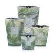Leaves Marius Baobab Collection
