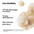 Absolut Repair l'or&eacute;al professionnel