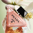 Paradoxe Prada
