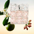 Lumi&egrave;re D'Issey Issey Miyake