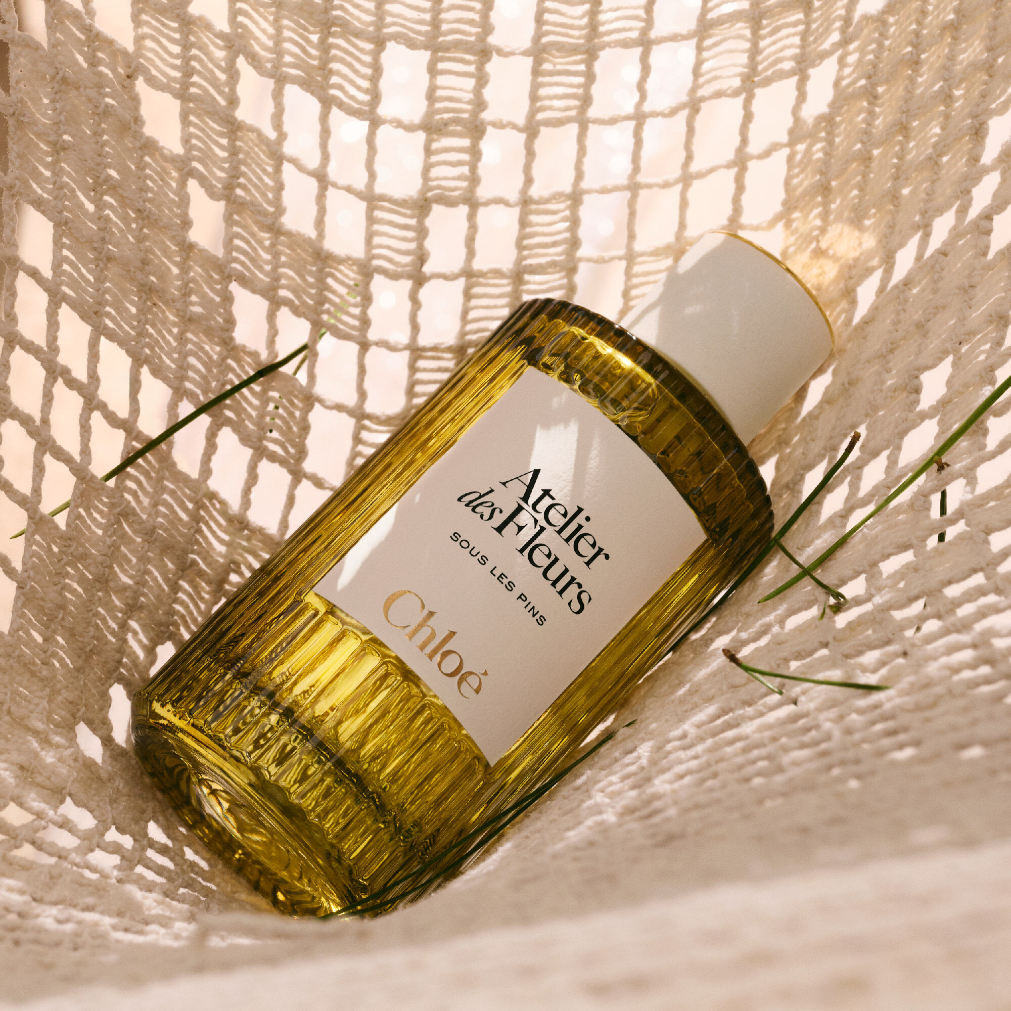 Atelier des Fleurs - Sous les Pins, Eau de Parfum - Chloé