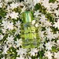 Jasmin Solinotes