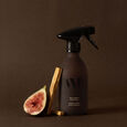 Figuier Santal What Matters
