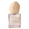 Radical Softness Fascent