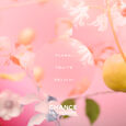 CHANCE EAU TENDRE Chanel