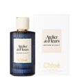 Atelier des Fleurs - Orchid&eacute;e de Minuit Chlo&eacute;