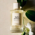 Atelier des Fleurs - Vanilla Planifolia Chlo&eacute;