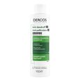Dercos Technique Vichy