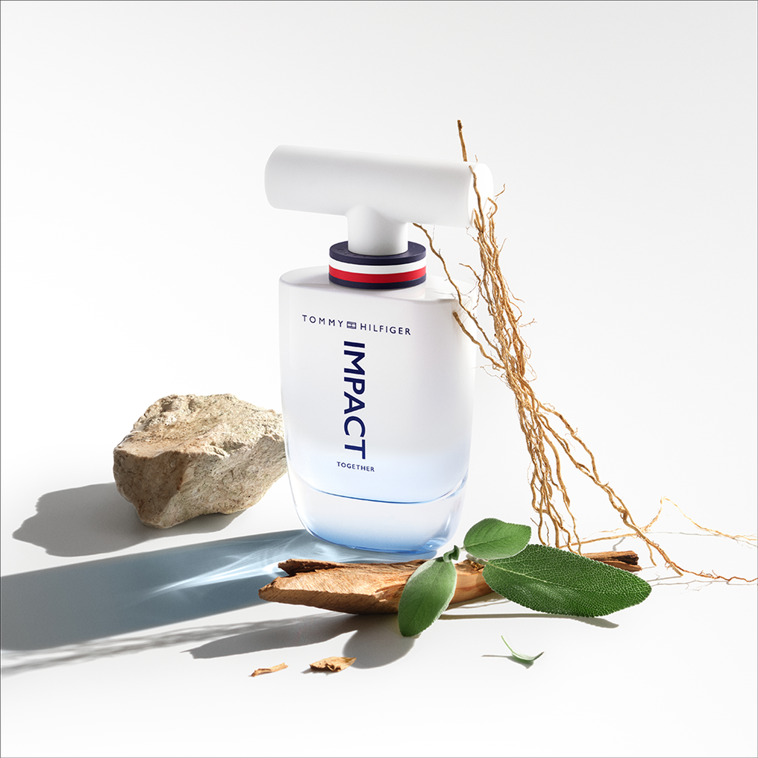 Tommy Impact Together 50ml Eau de Toilette MyOrigines Produit