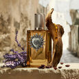 Devotion Male Parfum